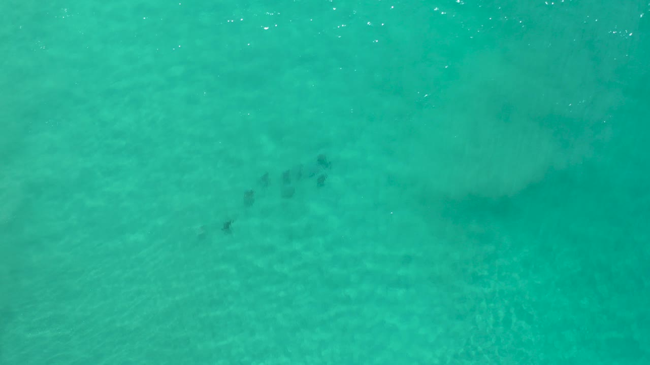 Top-down view of turquoise Los Cabos ocean water with faint dark fish shapes under the surface and no visible people.