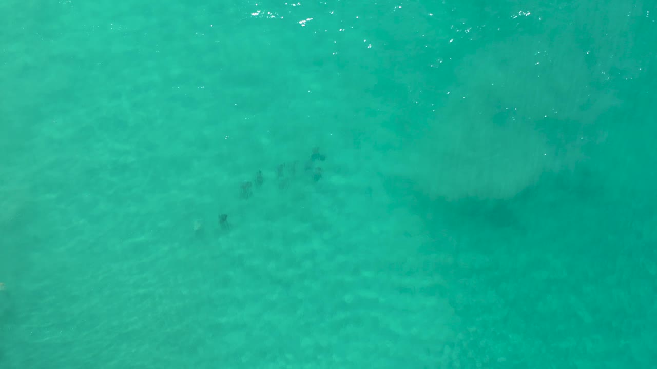 Blue-green Los Cabos ocean water contains faint submerged fish shapes, soft wave wash, and no visible people.