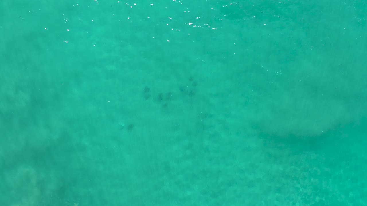 Top-down Los Cabos water view with turquoise surface ripples, a soft pale seabed patch across the center, darker underwater flecks, and no visible people.