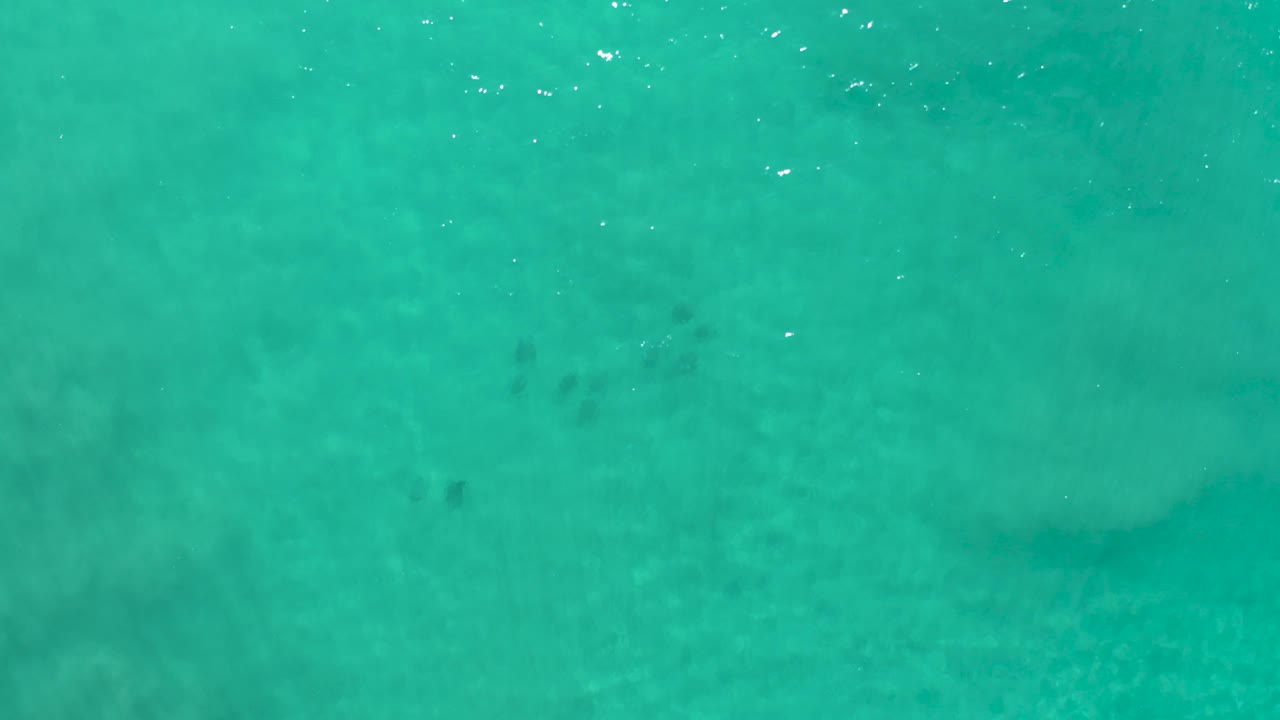 Direct overhead view of blue-green water in Los Cabos, Mexico, with a broader pale sand area below the surface, small dark submerged patches, and no visible people.