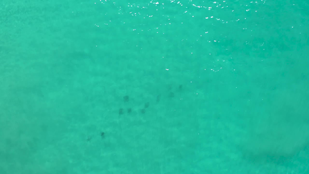 Overhead Los Cabos water frame with faint dark fish groups beneath blue-green water, brighter surface glints near the top, and no visible people.