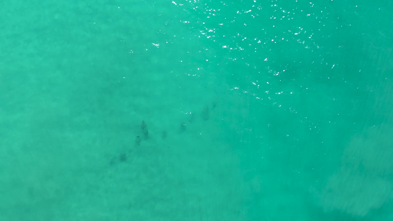 Overhead view of clear teal ocean in Los Cabos, Mexico, with pale submerged sand shapes and no visible people at the start of the clip.