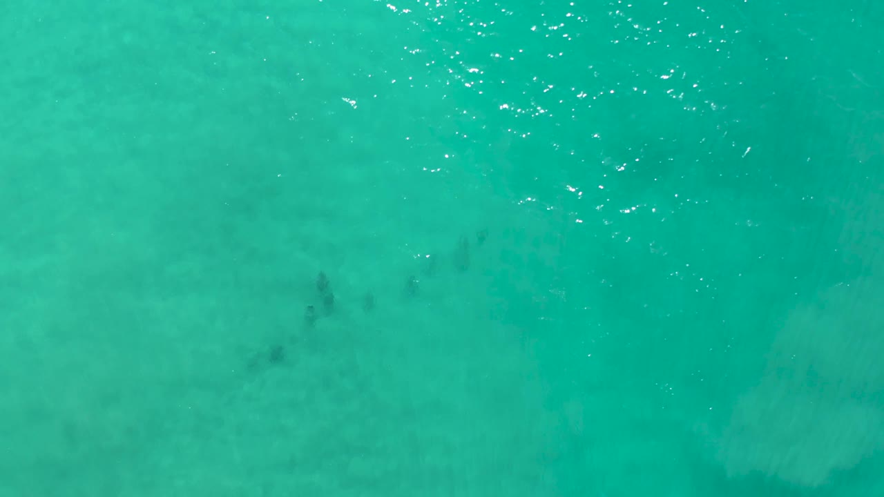 Teal ocean surface with small dark fish shapes under the water