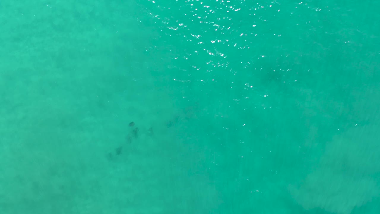 A top-down Los Cabos water frame shows bright teal color, faint fish silhouettes below the surface, and scattered light reflections with no visible people.