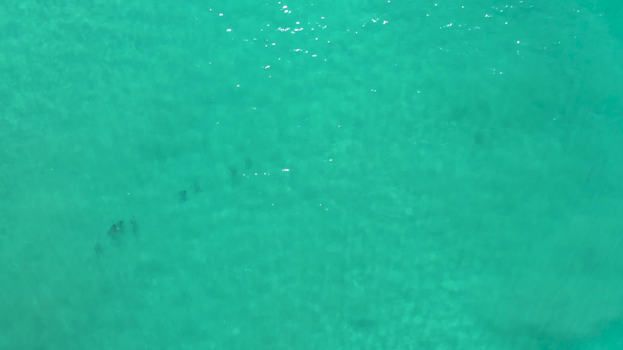 Top-down Los Cabos water frame with turquoise color, small daylight sparkles, faint dark underwater shapes, and no visible people.