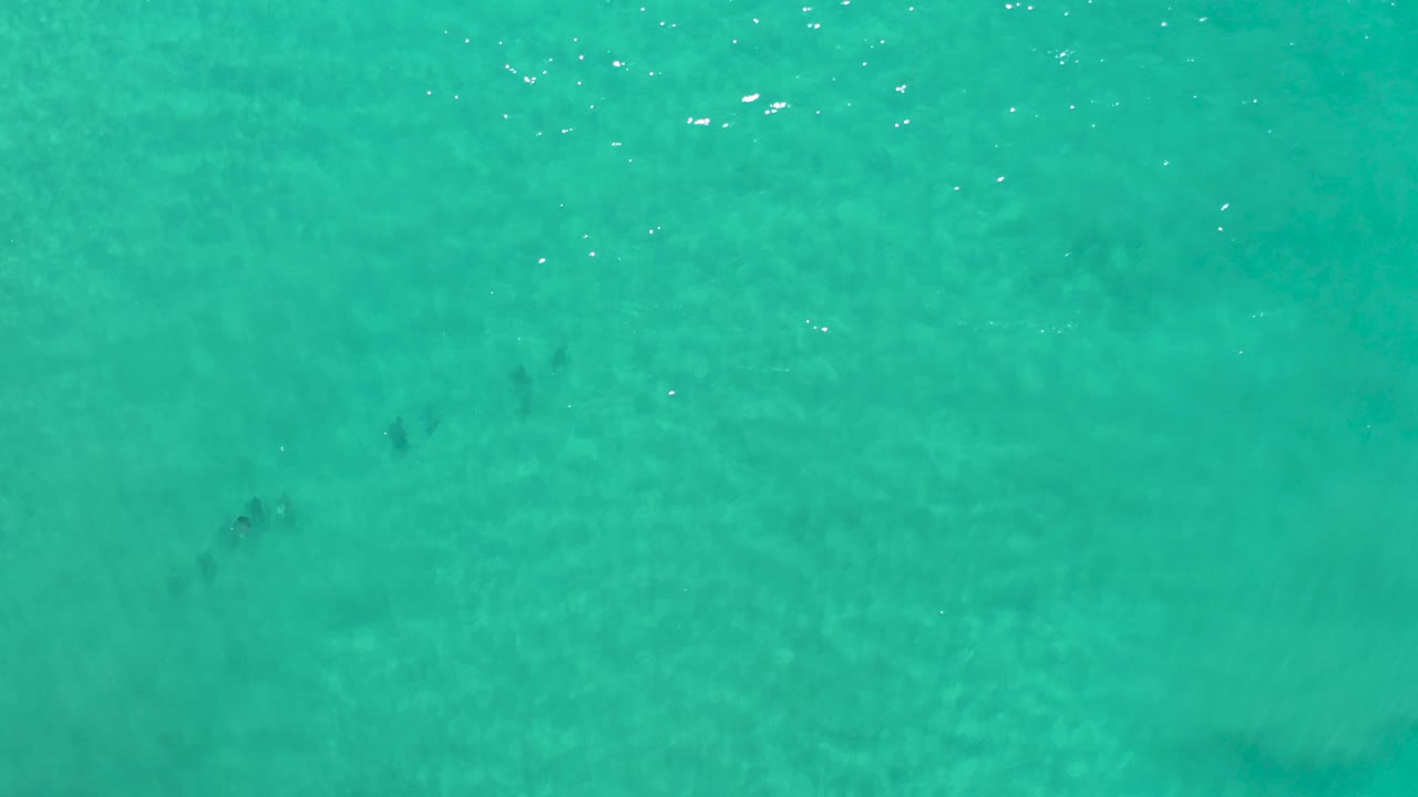 Aerial frame of clear aquamarine water in Los Cabos with muted dark marks beneath the rippled surface and no visible people.