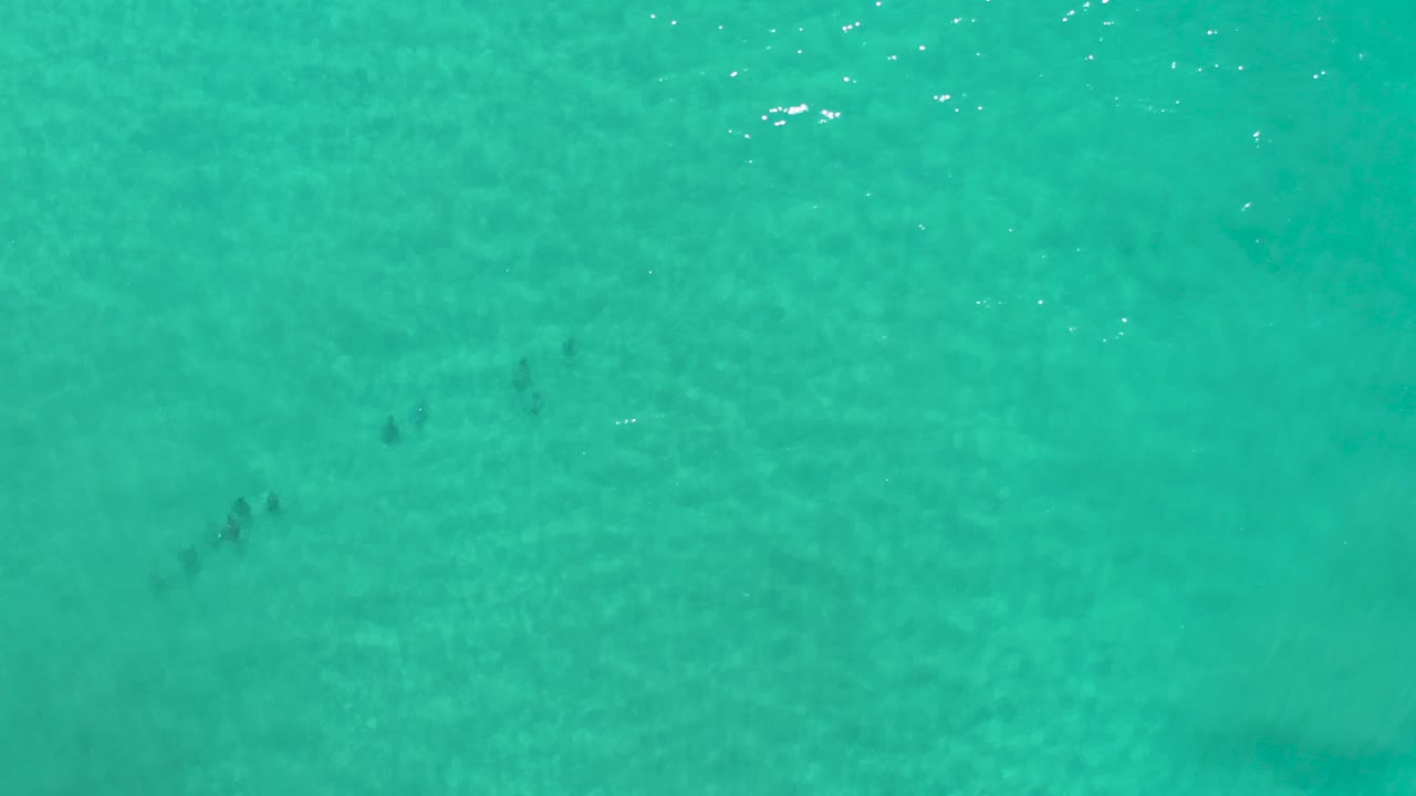 Overhead Los Cabos ocean view with green-blue shallow water, scattered dark bottom patches, soft ripples, and no visible people.