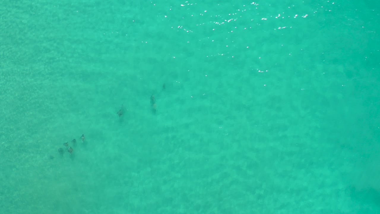 Overhead view of turquoise water in Los Cabos, Mexico, with faint submerged dark areas and no visible people.