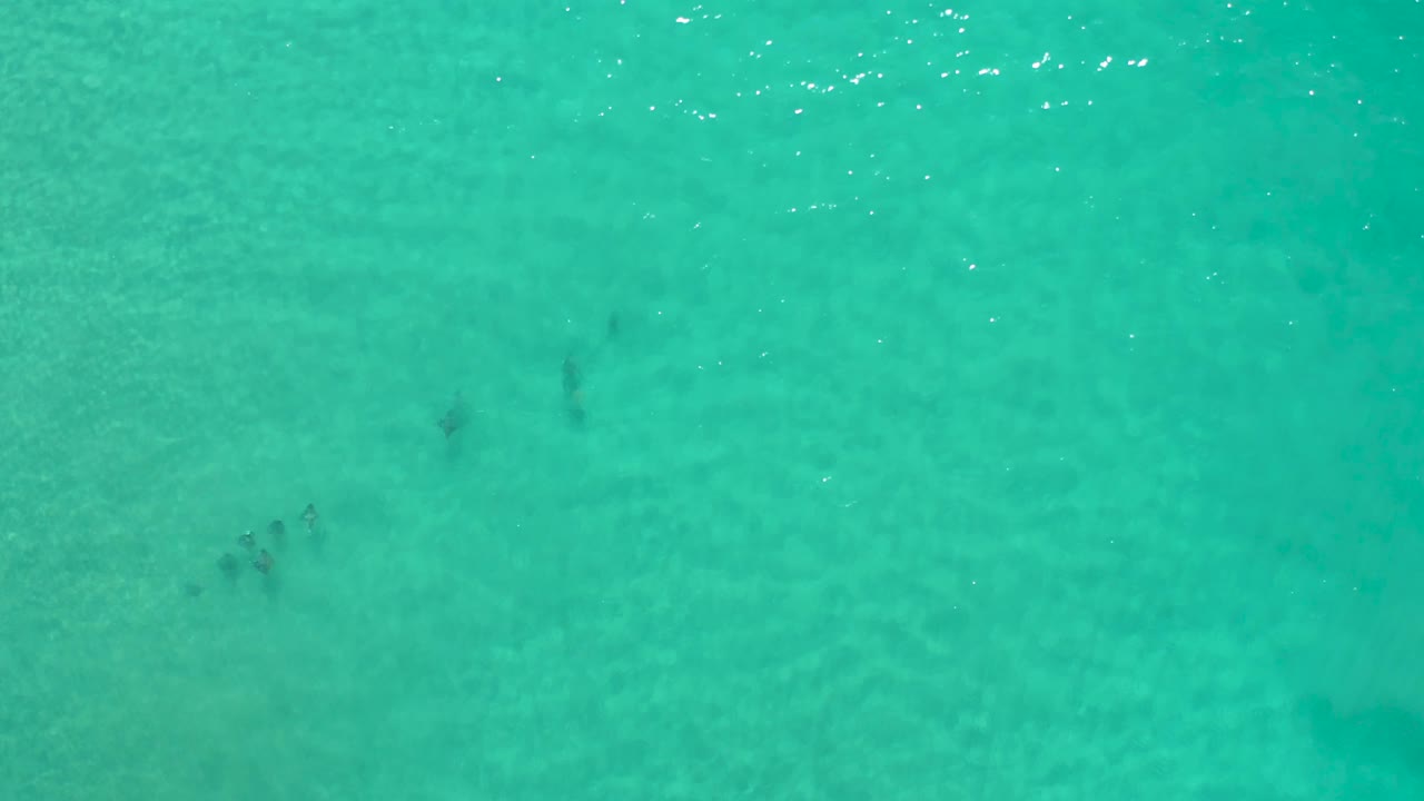 Aqua ocean water in Los Cabos, Mexico, seen from above with several small dark submerged shapes and no visible people.