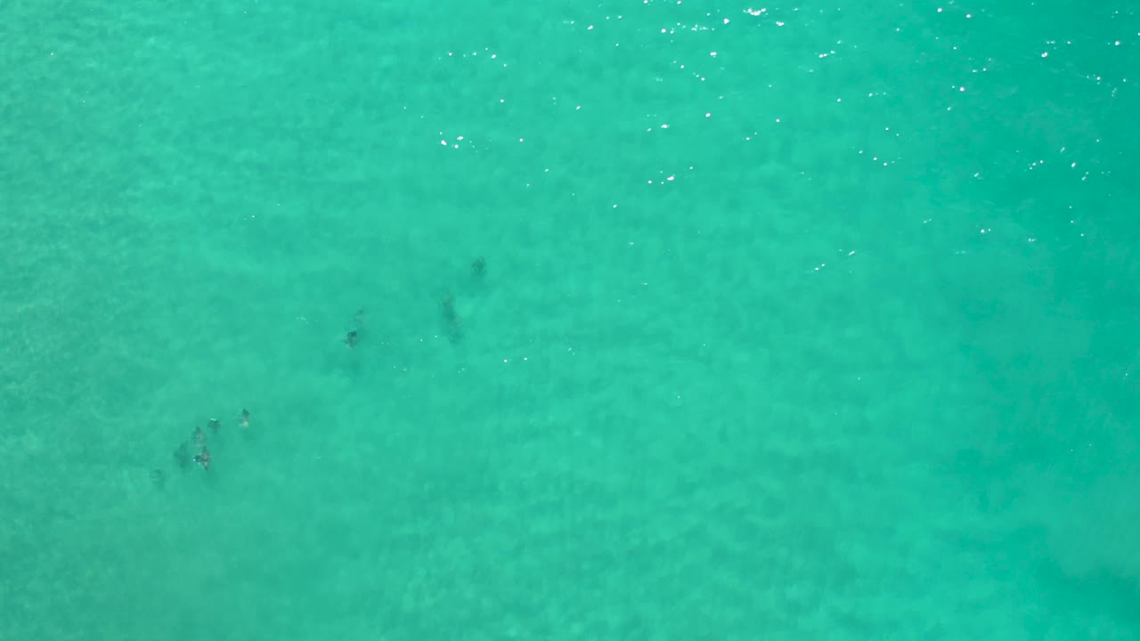 Top-down Los Cabos water view with a darker submerged patch near the center and no visible people.