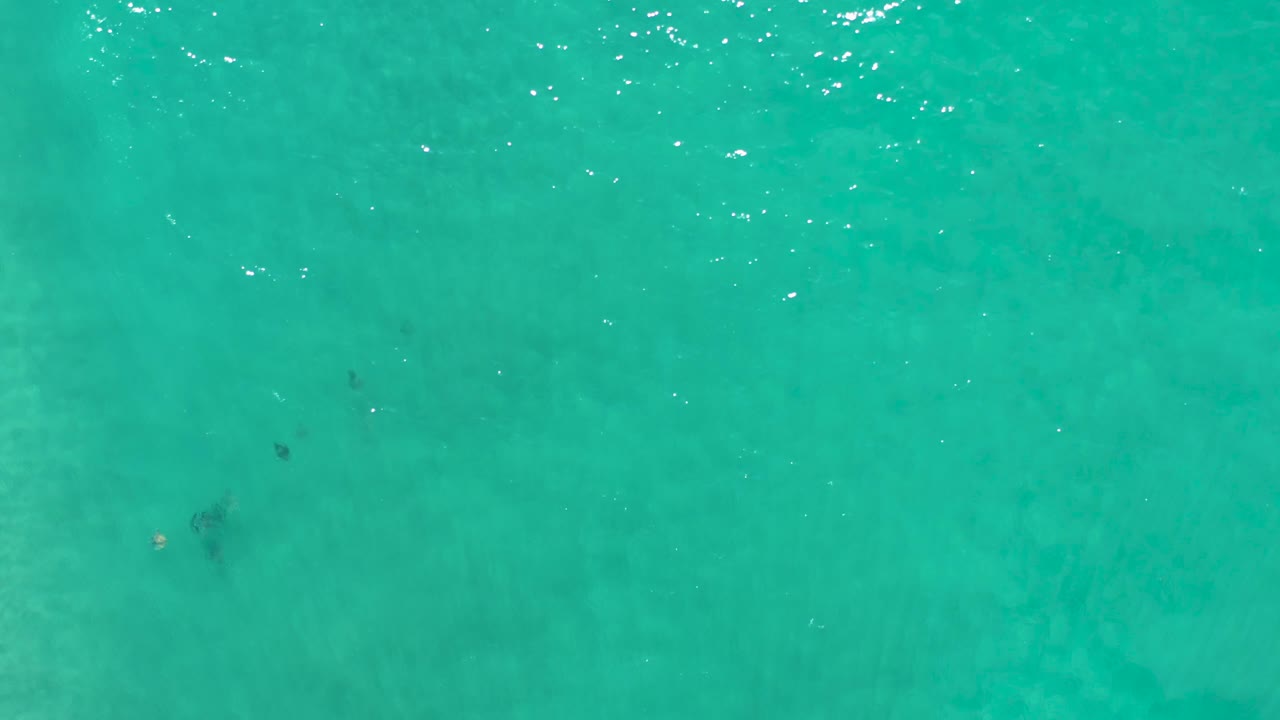 Clear cyan water fills the Los Cabos frame, with scattered white sun reflections and no visible people or structures.