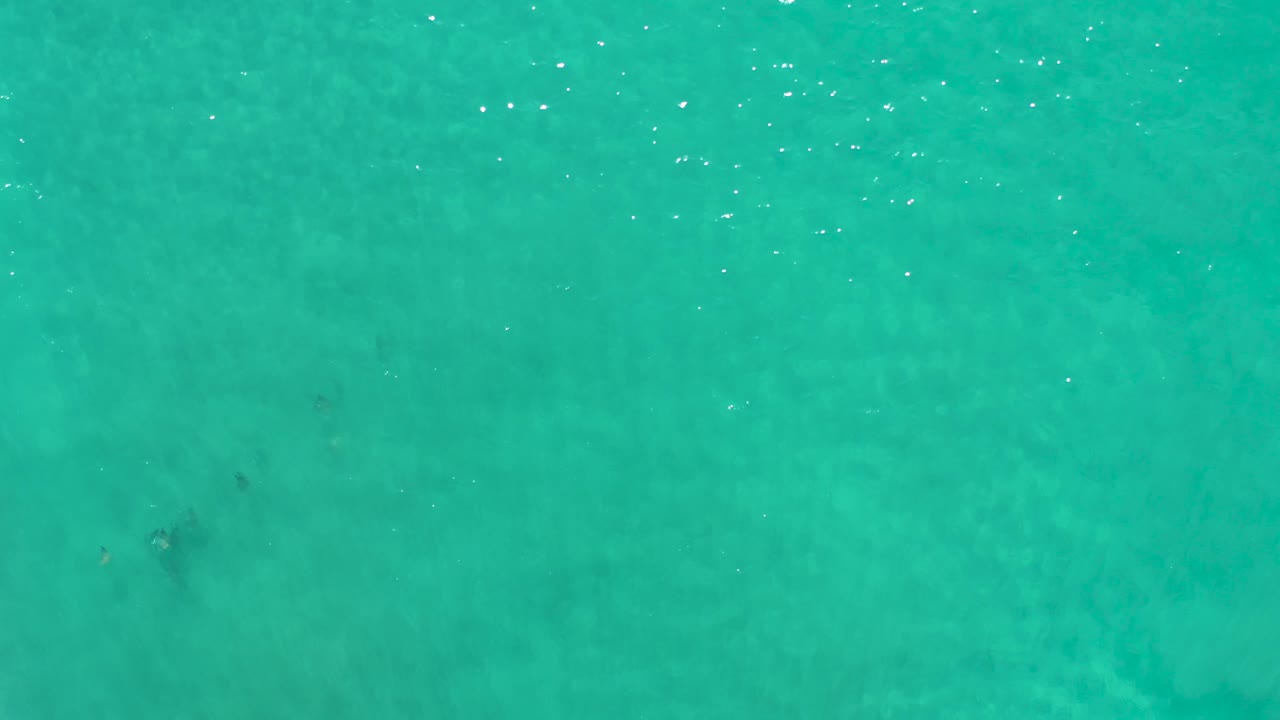 Blue-green ocean water in Los Cabos appears from a high overhead angle, with subtle tonal bands and no visible people.