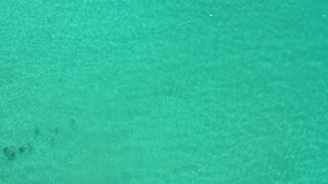 Overhead view in Los Cabos, Mexico of several dark fish shapes under clear turquoise water with a pale sandy bottom and no visible people.