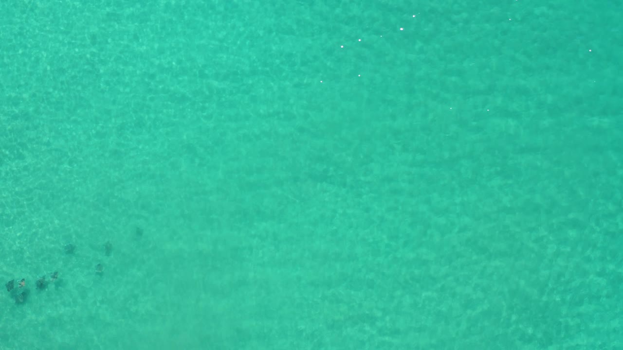 Overhead Los Cabos, Mexico frame with a small dark fish cluster near the lower center, soft water texture, sandy bottom, and no visible people.