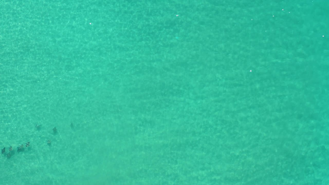 Overhead view in Los Cabos, Mexico with dark fish marks slightly right of center below clear blue-green water, faint surface sparkle, and no visible people.