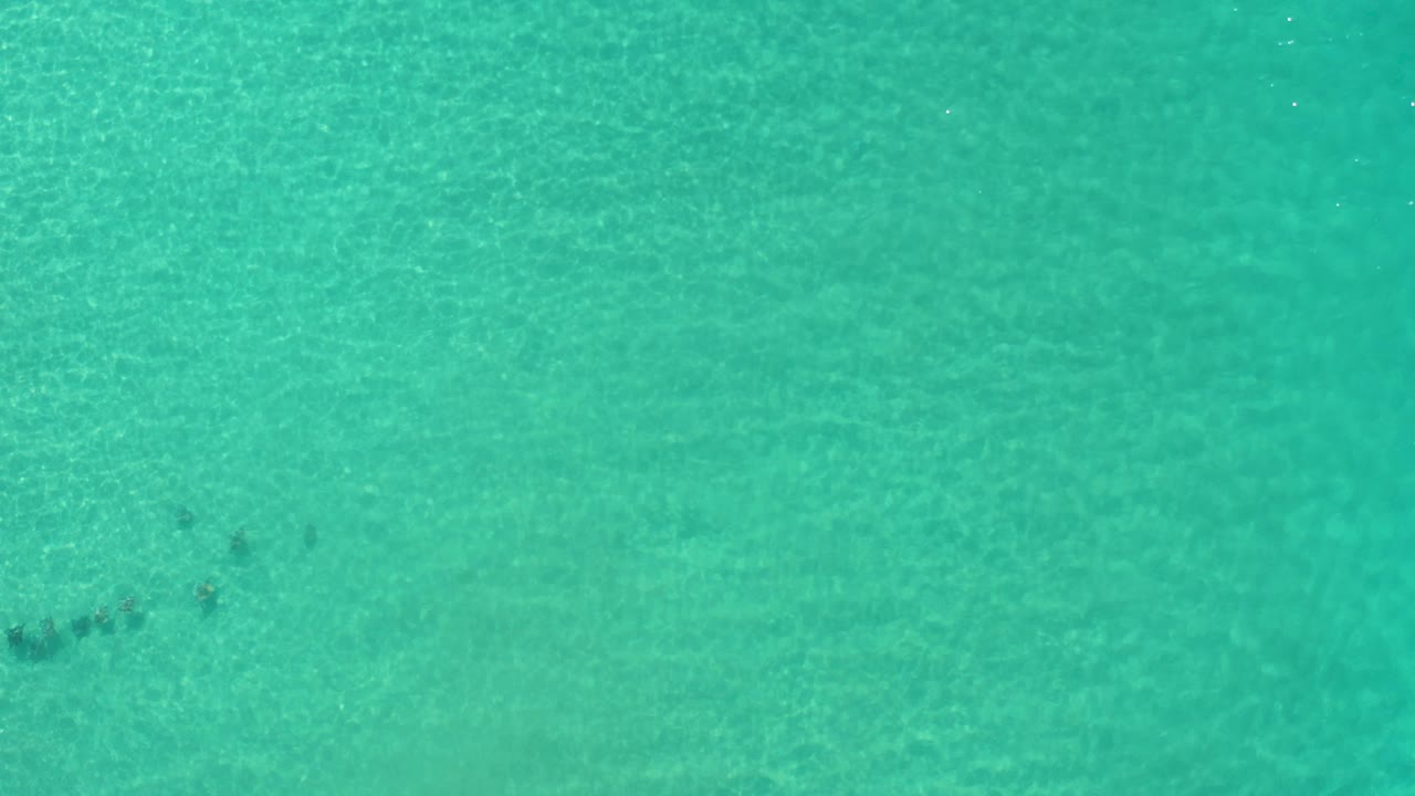 Los Cabos, Mexico overhead water frame with dark fish shapes near the left side, broad turquoise space, visible seabed texture, and no visible people.