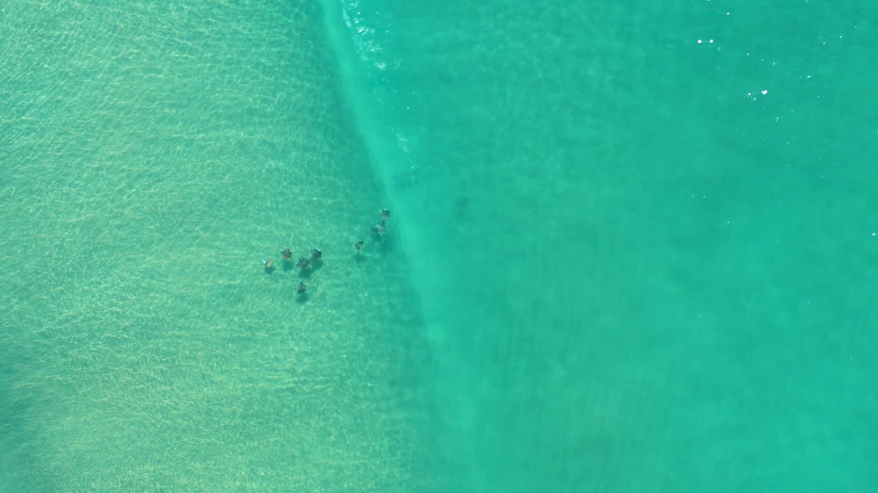 Overhead view in Los Cabos with fish below the green sea and a darker underwater band running diagonally through the composition, with no visible people.
