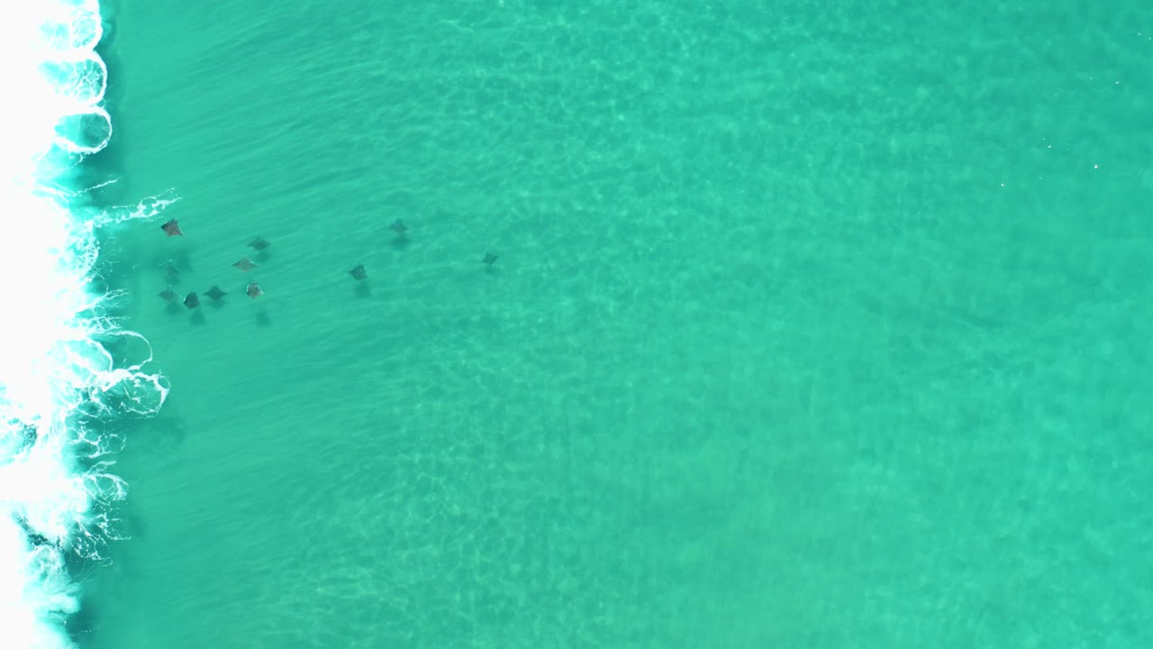 Overhead Los Cabos water view with more open teal space to the right, turtles clustered near the left-side surf, and no visible people.