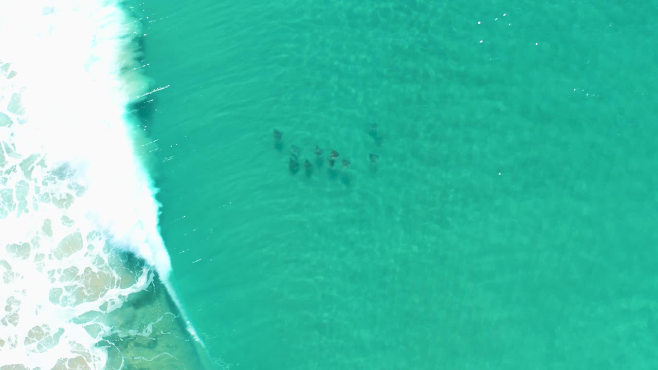 Overhead Los Cabos water frame with foamy surf pushing in from the left, clear turquoise shallows, dark submerged patches near center, and no visible people.