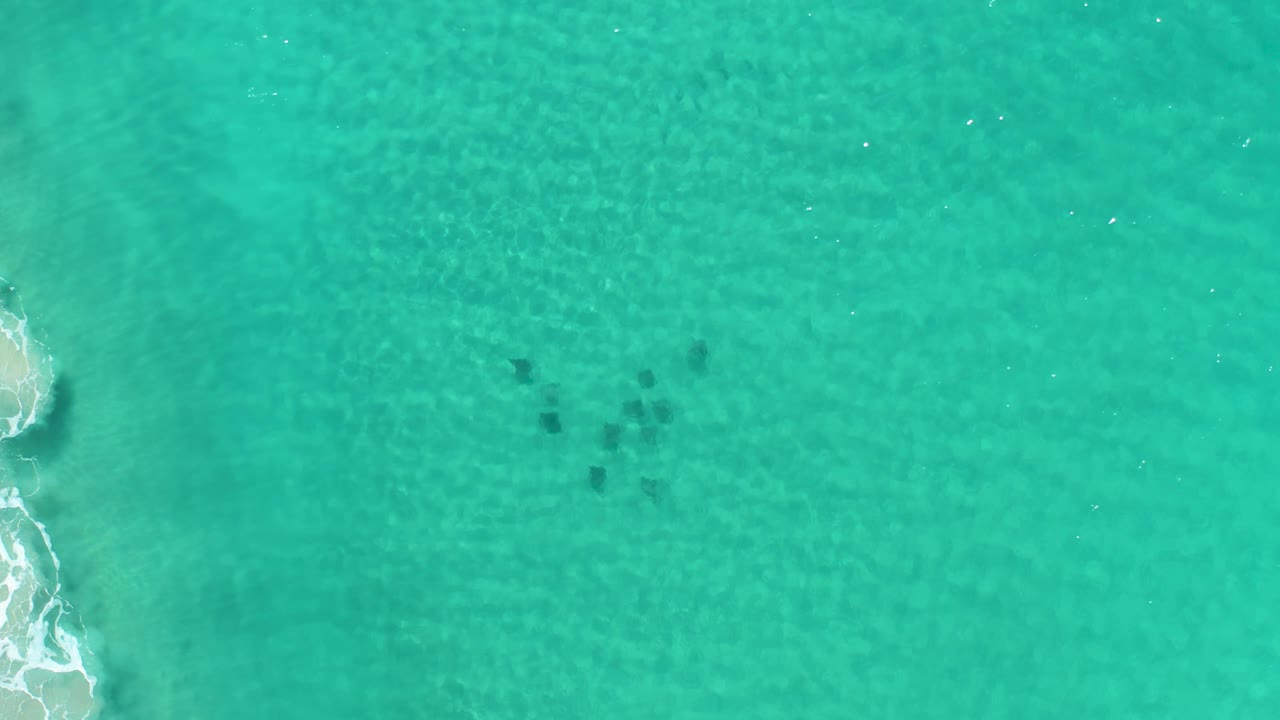 Small fish clustered under clear green ocean water near surf