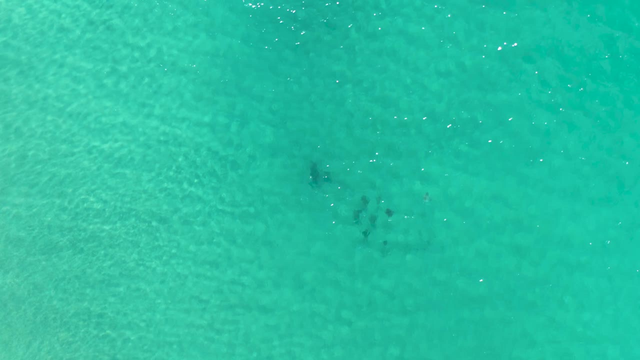 Overhead Los Cabos, Mexico frame with a dark fish school gathered toward the lower-left portion of shallow turquoise water, with no visible people.
