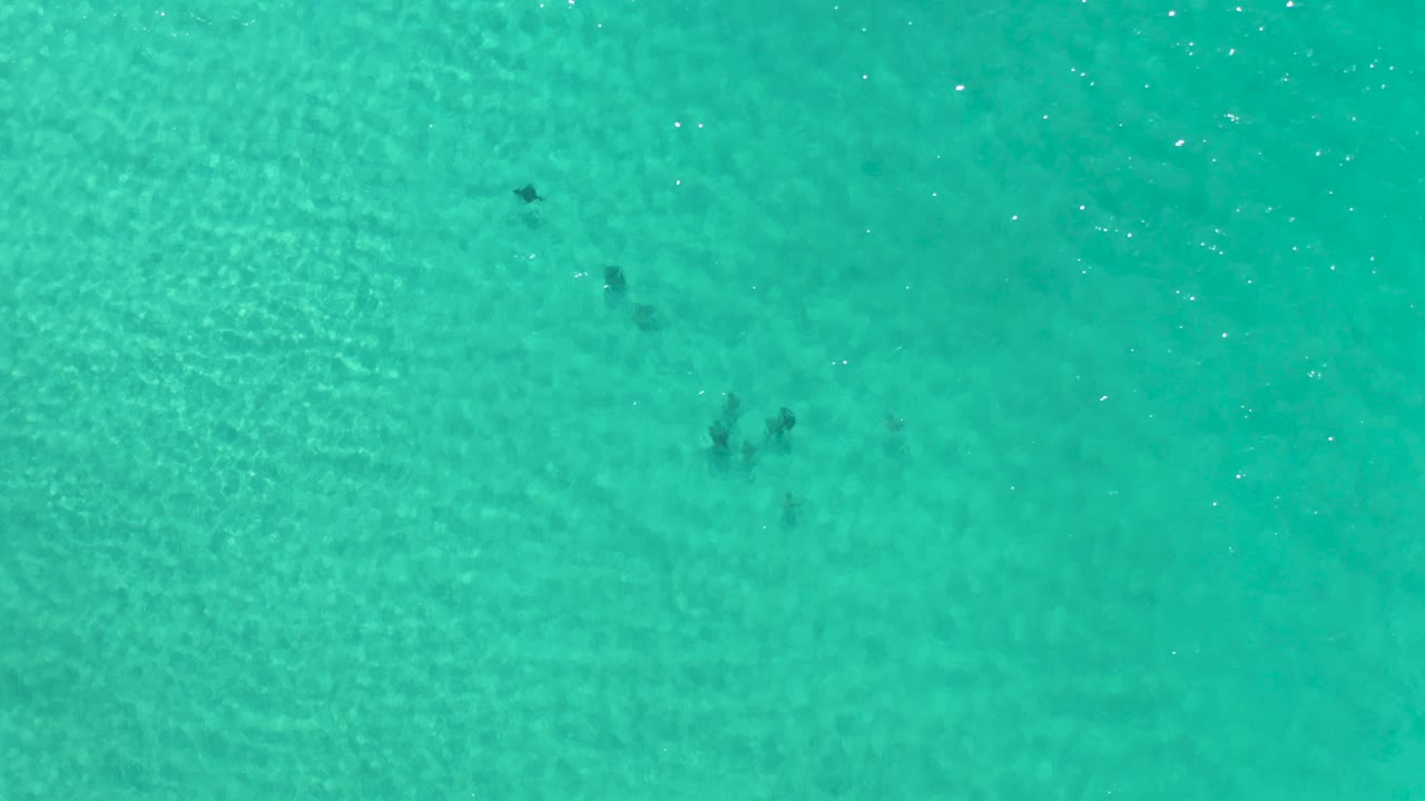 A straight-down Los Cabos frame shows turquoise water, faint subsurface texture, and a small dark fish cluster toward the left side, with no visible people.