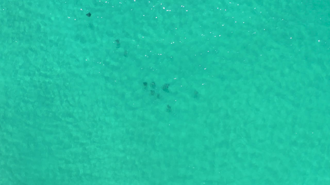 Overhead view of turquoise ocean water in Los Cabos, Mexico, with faint underwater sand ripples, small dark marine animals near the upper area, and no visible people.