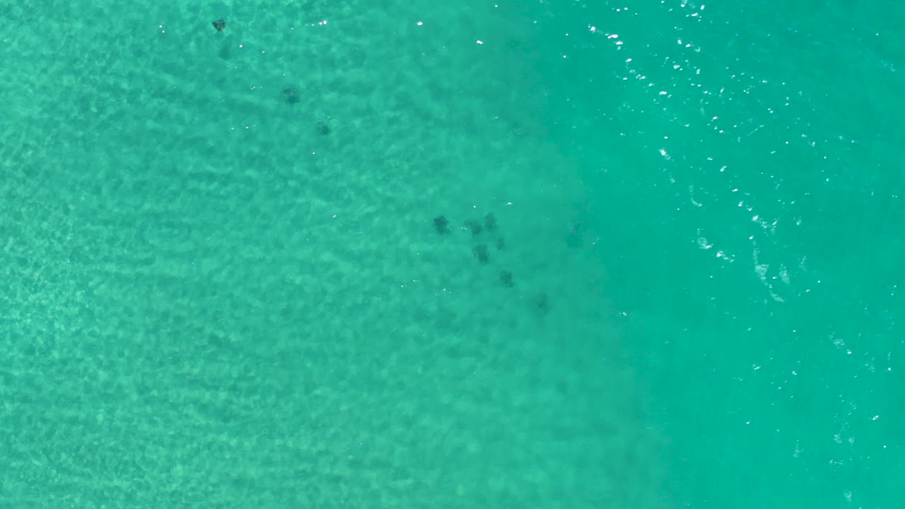 Turquoise ocean water with faint fish shapes below the surface.
