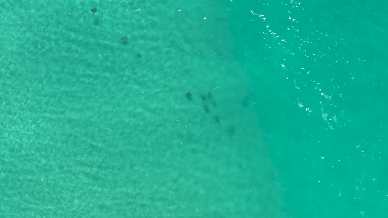 Aerial frame over blue-green Los Cabos water, with a small cluster of dark fish shapes near the upper area and no visible people.