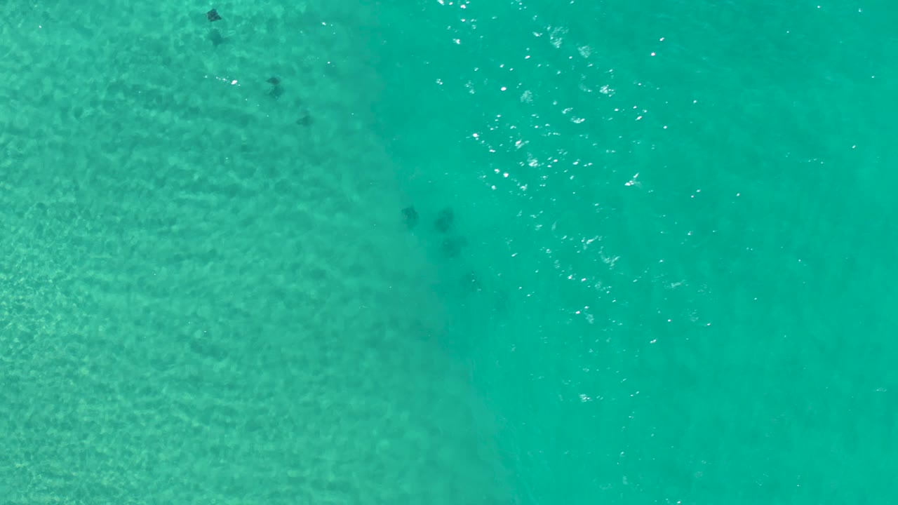 Overhead Los Cabos ocean frame with shallow turquoise water, darker fish marks below the surface, bright flecks of wave light, and no visible people.
