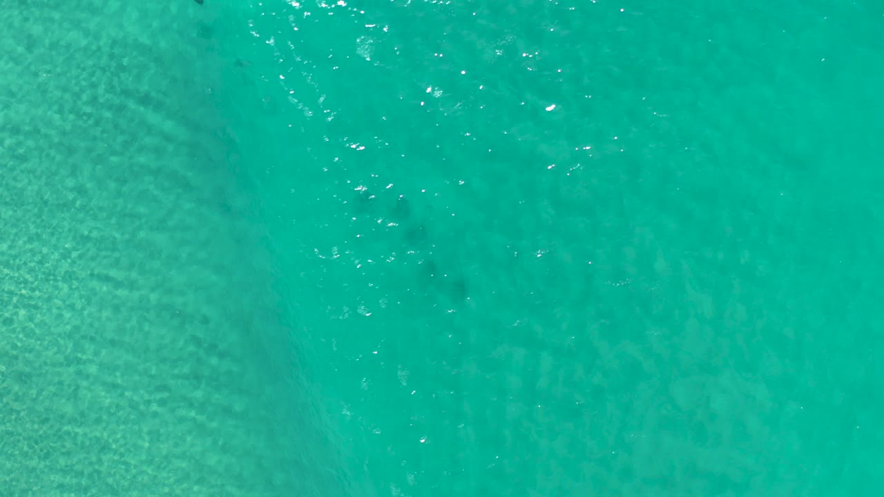 Top-down Los Cabos water view with a low rolling wave pattern crossing the clear turquoise surface and faint fish shapes below, with no visible people.