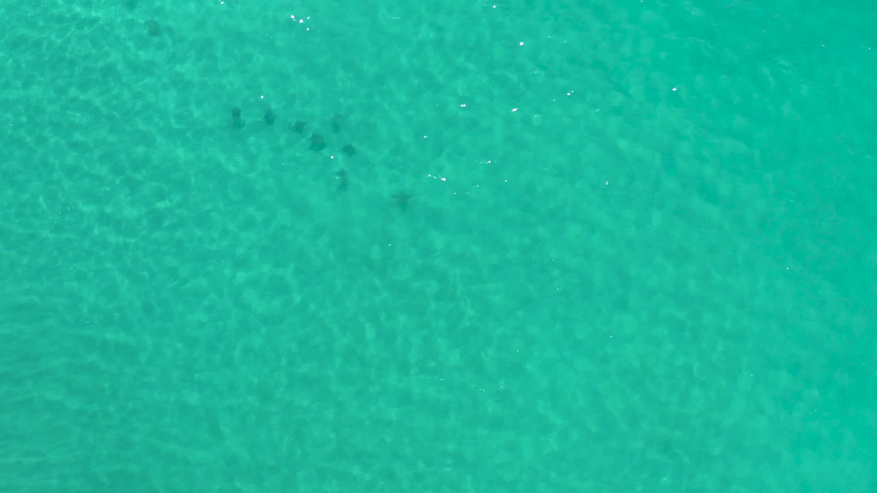 Overhead Los Cabos water frame showing turquoise surface ripples, small white sun flecks, darker submerged marks, and no visible people.