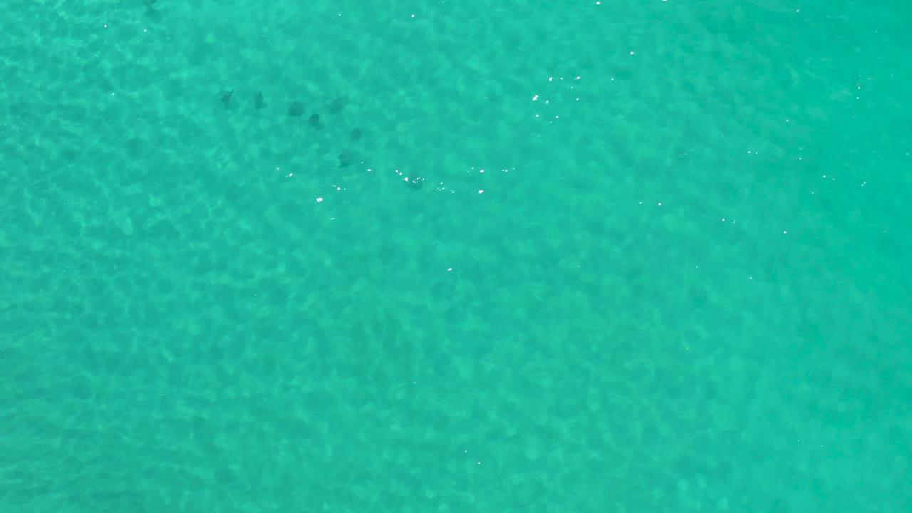 Aerial view over clear teal water in Los Cabos, Mexico, with soft wave texture, scattered glints across the surface, and no visible people.