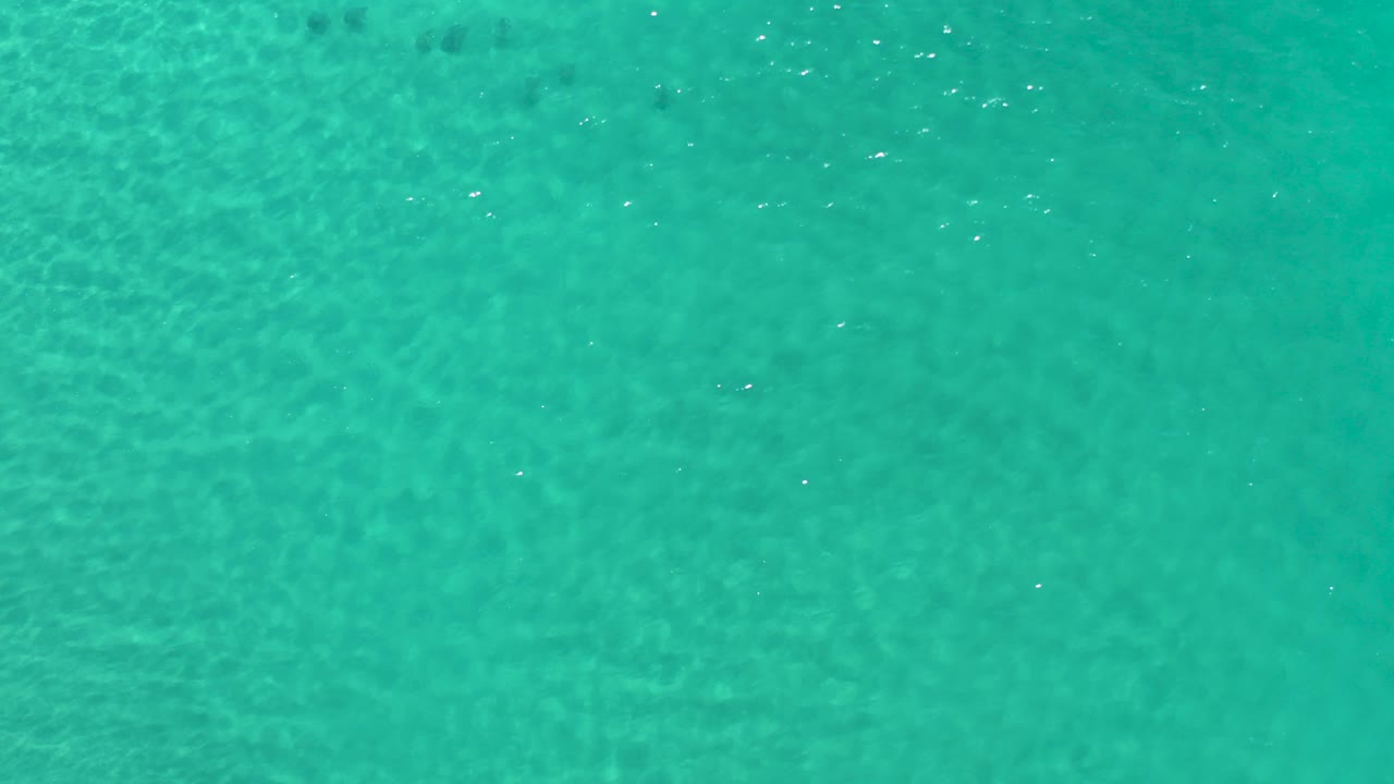 Green-turquoise ocean water fills the Los Cabos frame at the opening moment, with faint surface ripples and no visible people.