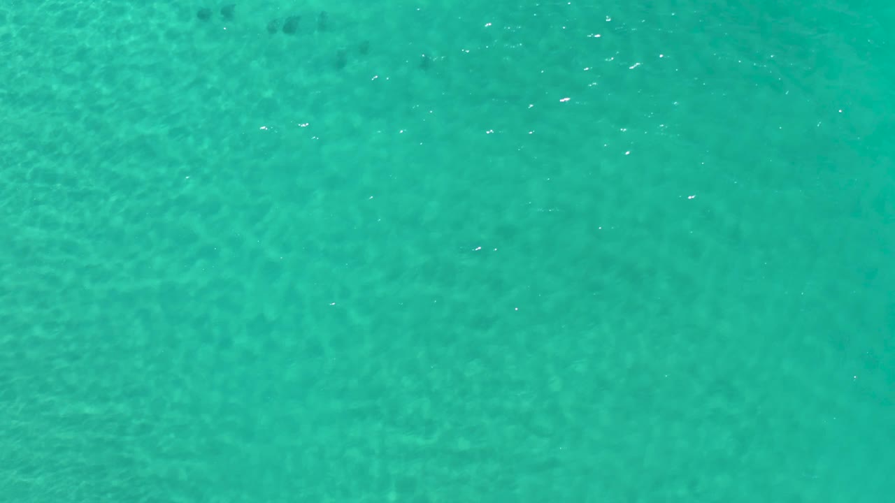 Clear green ocean surface in Los Cabos shows small reflective flecks near the upper area, with no shoreline or visible people.