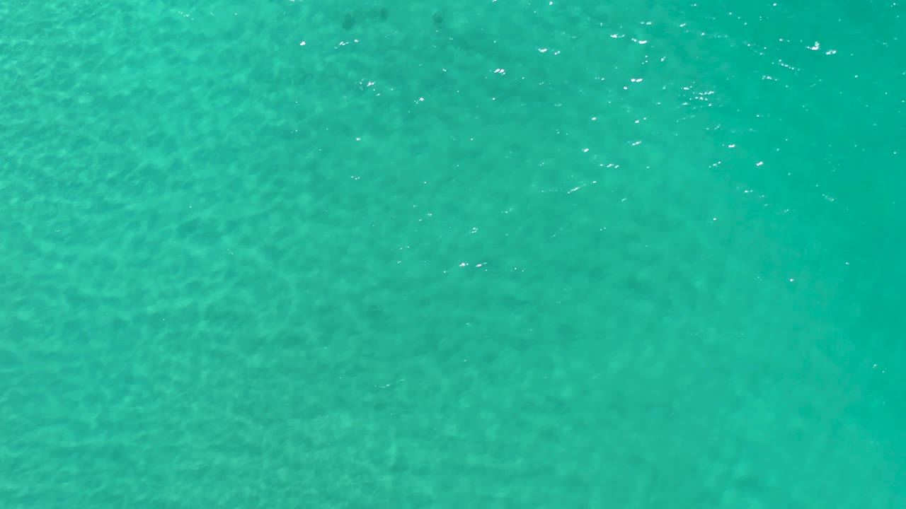 Green ocean water in Los Cabos shows a brighter cluster of surface sparkle across the upper portion, with no boats or visible people.