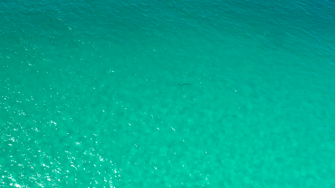 Overhead view of turquoise water in Los Cabos, Mexico, with scattered sun sparkle and faint darker patches below the surface, no visible people.