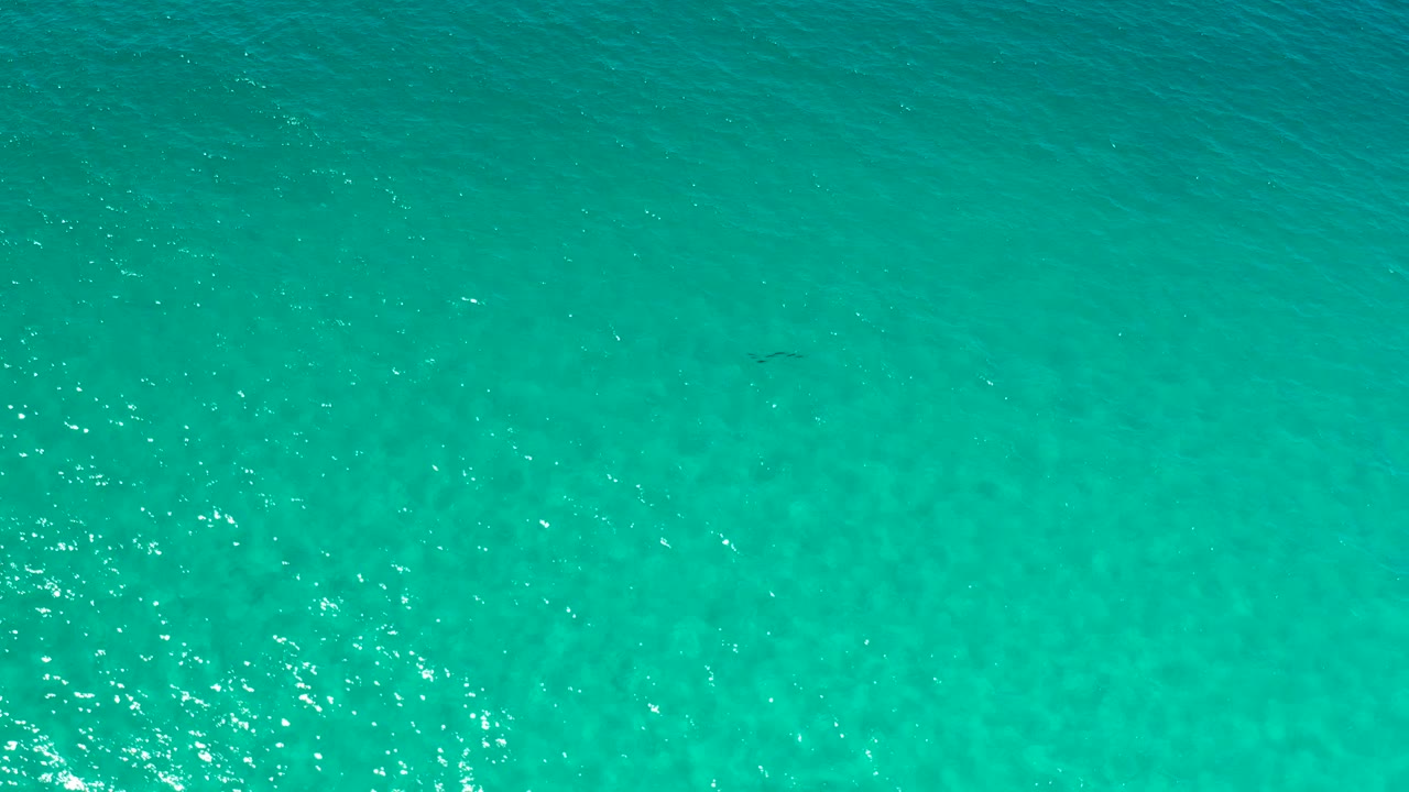 Straight-down aerial frame of teal shallow water in Los Cabos, Mexico, with fine ripples and a small cluster of reflected light, no visible people.