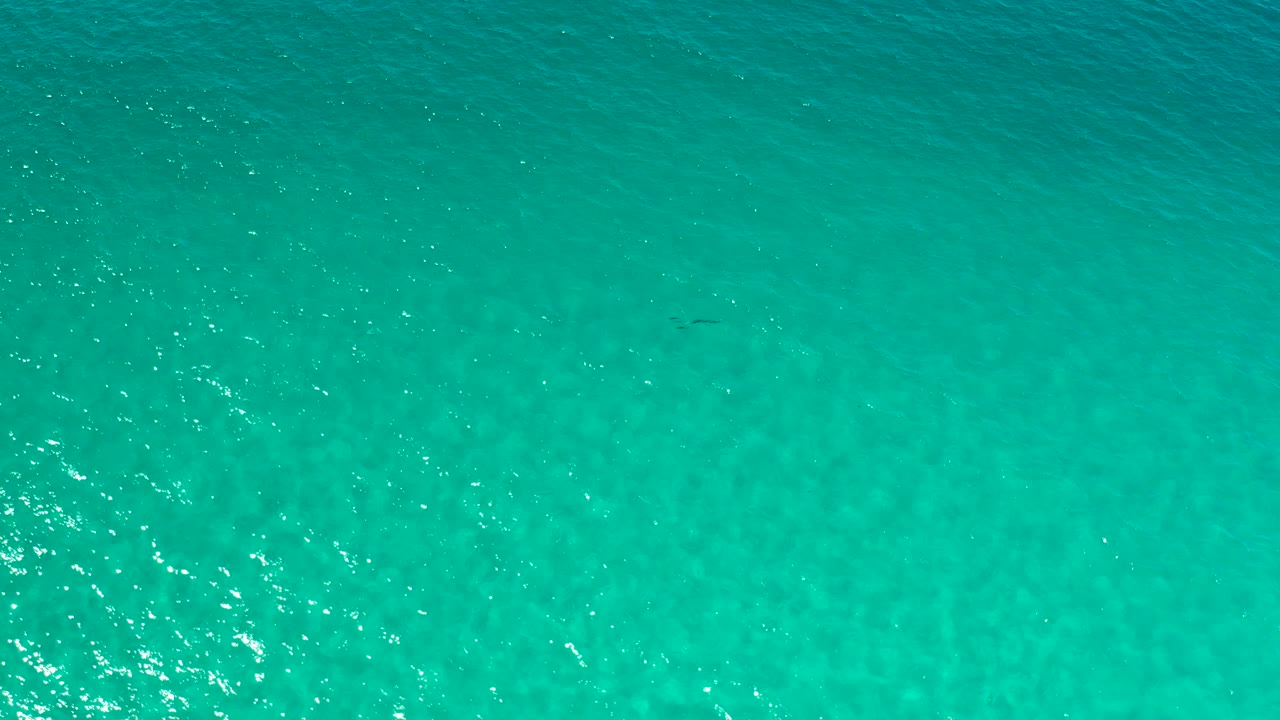 Blue-green overhead water view from Los Cabos, Mexico, with scattered sparkle and subtle darker shapes under the surface, no visible people.