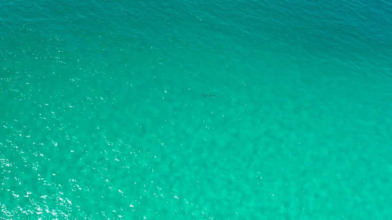 Turquoise water with a soft band of darker texture