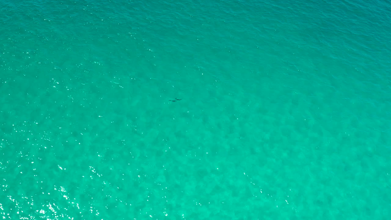 Clear green-blue sea surface in Los Cabos, Mexico, with scattered white sun sparkles and no visible people or structures.