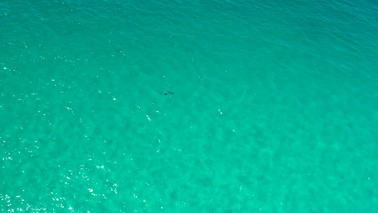 Top-down turquoise water in Los Cabos, Mexico, with soft underwater shading, light wave texture, and no visible people.