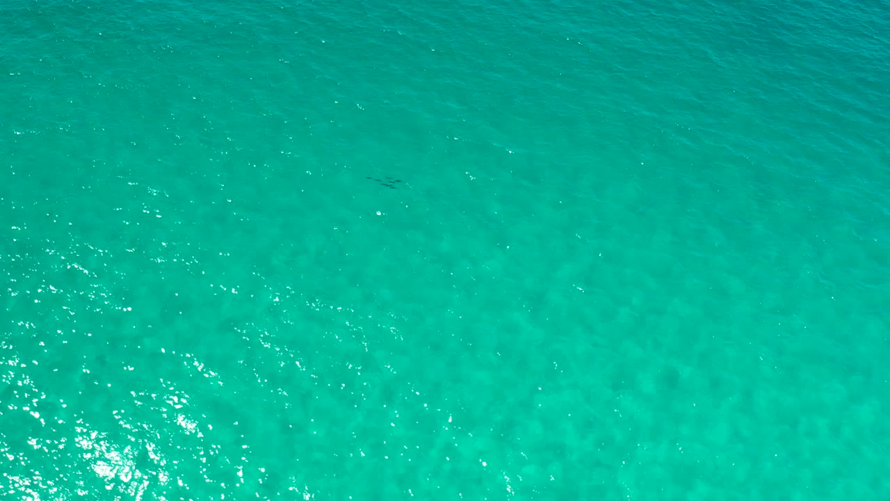 Blue-green sea surface with faint darker patches underwater.