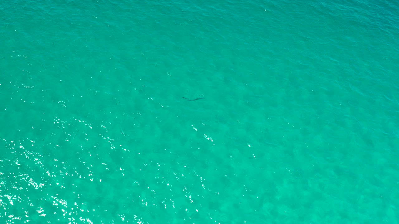 Overhead view of turquoise ocean water in Los Cabos, Mexico, with small sun glints and no visible people.
