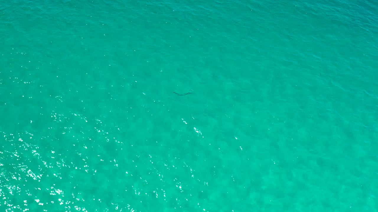 Clear blue-green ocean with ripples