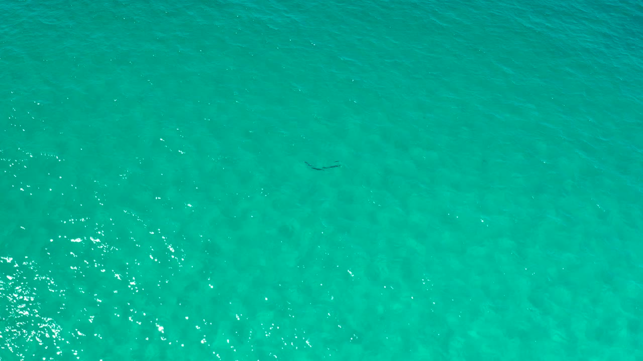 Turquoise Los Cabos water is seen from above with scattered bright reflections across the surface and no visible people.