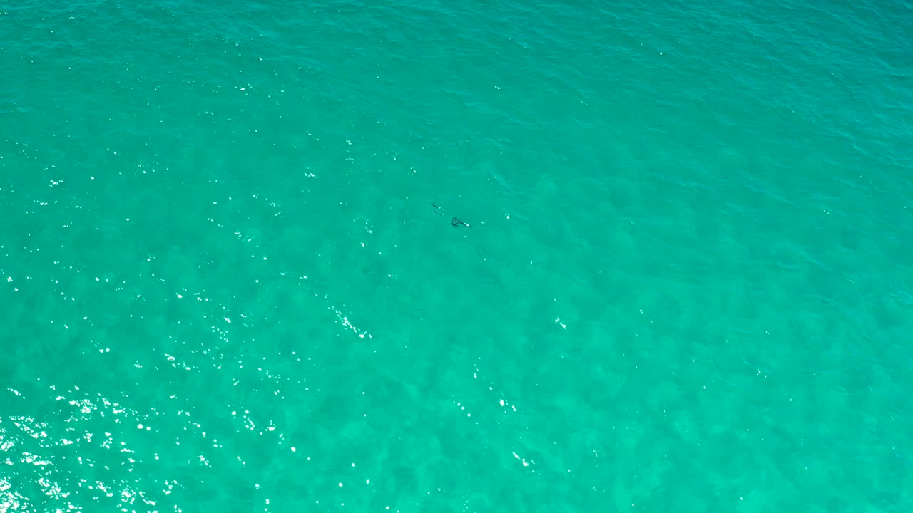 Turquoise water with sun glints and faint fish below the surface