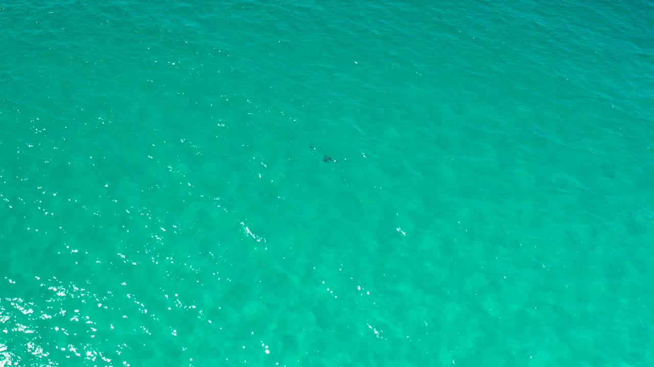 Clear Los Cabos water fills the frame, with a few small fish shapes under the surface and scattered highlights across the gentle ripples, with no visible people.