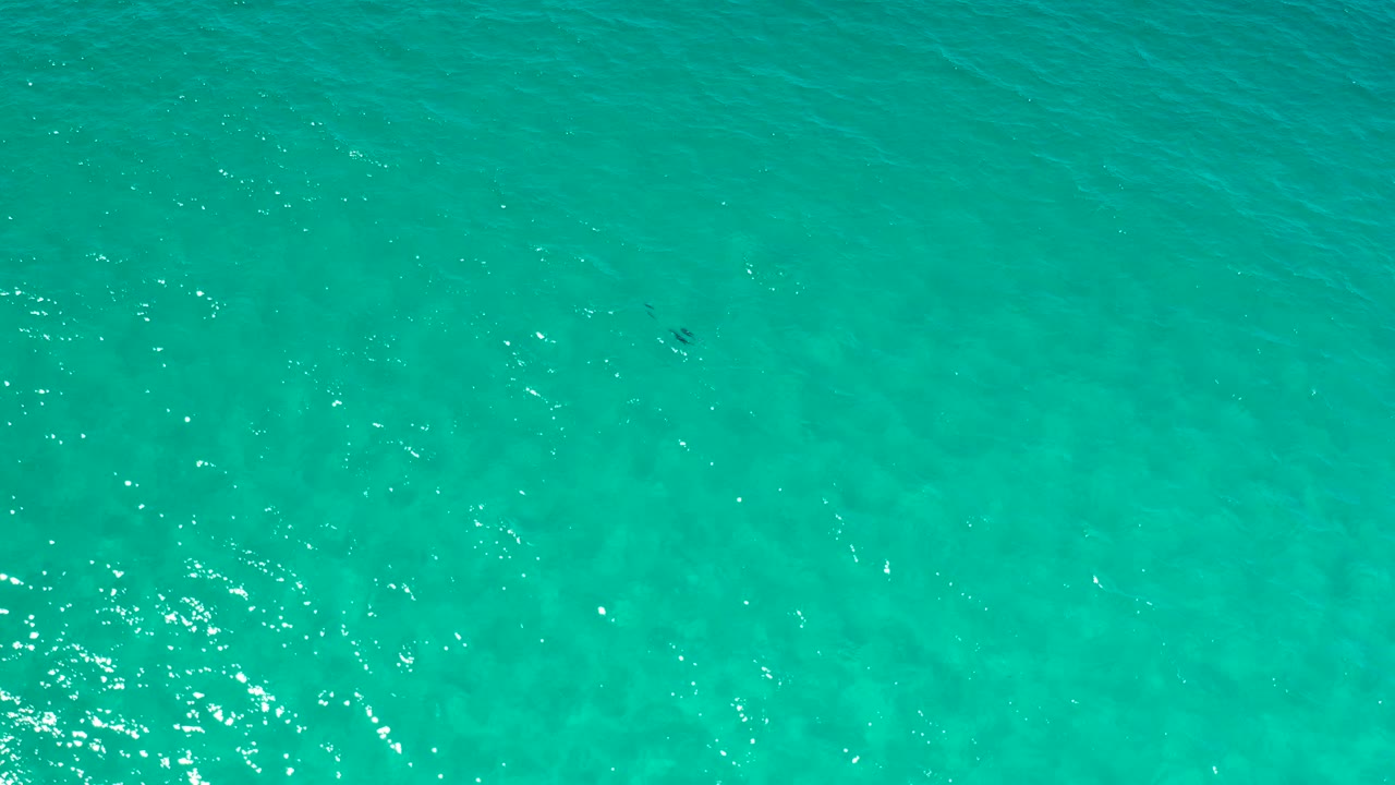 Overhead turquoise water in Los Cabos shows bright surface reflections and faint small fish beneath the water, with no shoreline, boats, or visible people.