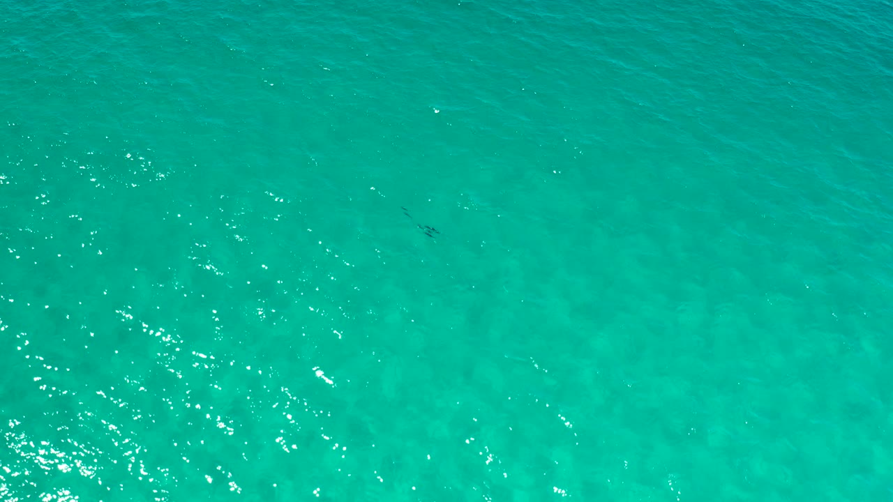 A full-frame overhead view of Los Cabos turquoise water shows small dark fish marks below the surface and a smoother patch of ripple texture, with no visible people.